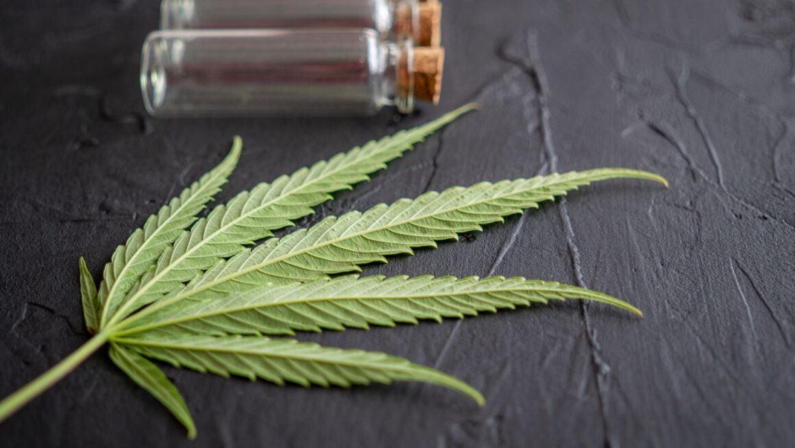 Check-Out-This-Texas-Sized-Cannabis-Legalization-Update