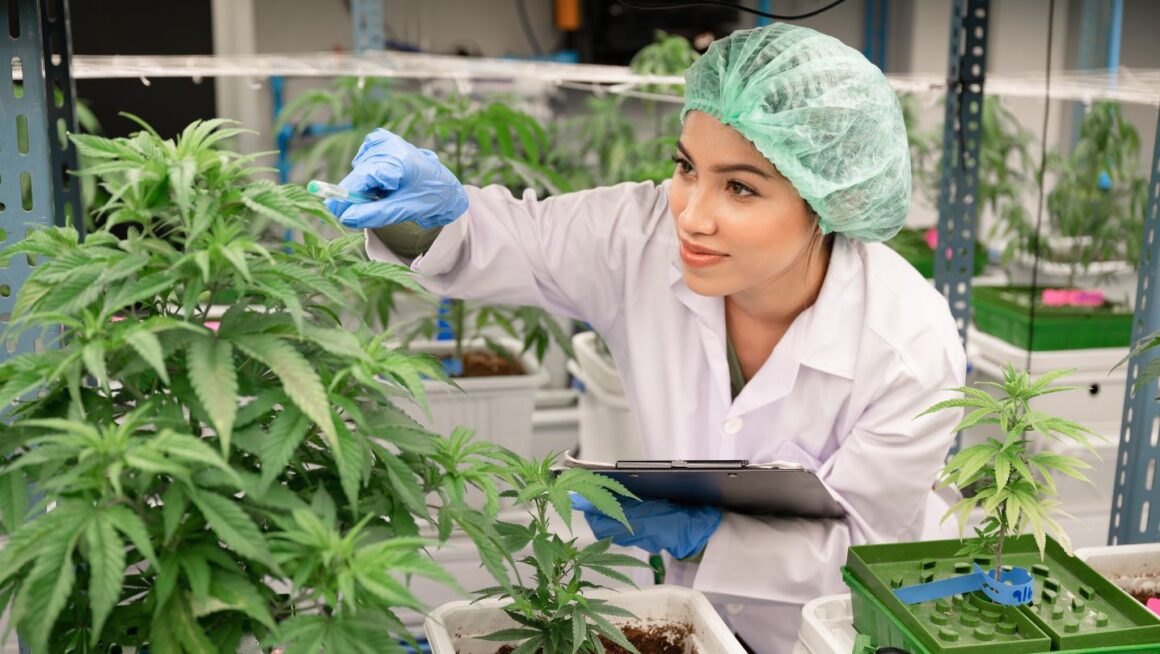 Recognizing-Women-of-Color-Shaping-the-Cannabis-Space