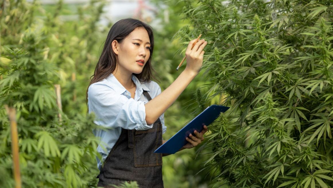 Recognizing-Women-of-Color-Shaping-the-Cannabis-Space