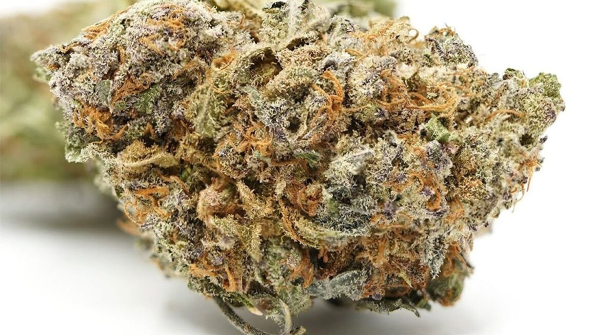 Cannabis For The Holiday Hangovers