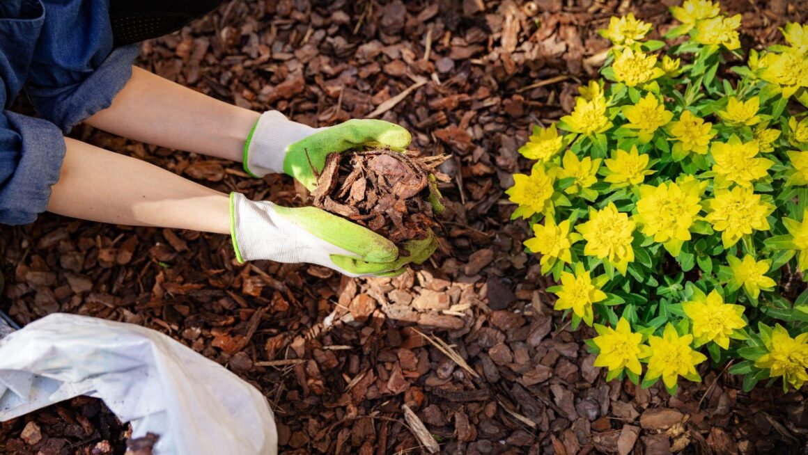 bulk mulch delivery, mulch delivery services, landscape mulch delivery, bulk mulch prices, mulch installation services, inexpensive mulch delivery, professional mulch delivery, mulch delivery near me, mulch delivery for gardens, bulk mulch landscape
