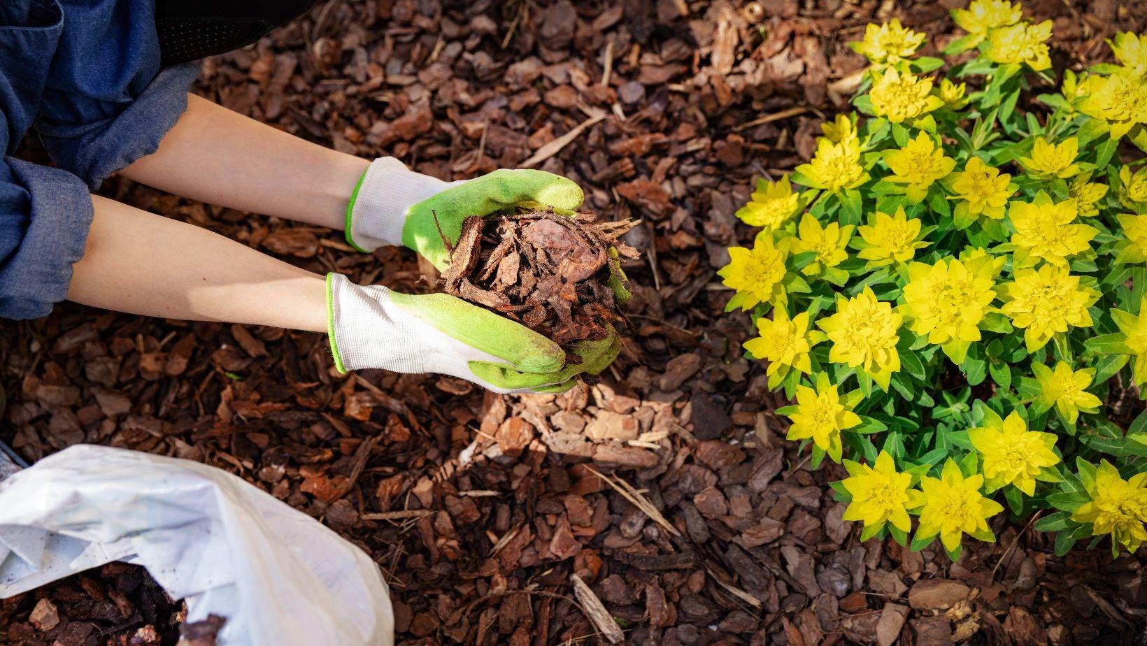 bulk mulch delivery, mulch delivery services, landscape mulch delivery, bulk mulch prices, mulch installation services, inexpensive mulch delivery, professional mulch delivery, mulch delivery near me, mulch delivery for gardens, bulk mulch landscape